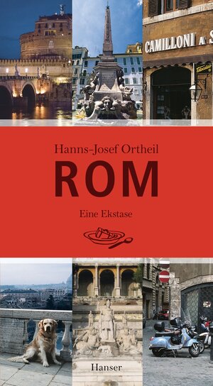 Buchcover Rom | Hanns-Josef Ortheil | EAN 9783446240360 | ISBN 3-446-24036-5 | ISBN 978-3-446-24036-0