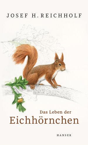 Buchcover Das Leben der Eichhörnchen | Josef H. Reichholf | EAN 9783446264076 | ISBN 3-446-26407-8 | ISBN 978-3-446-26407-6