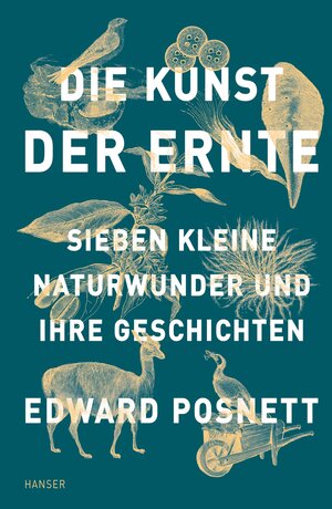 Buchcover Die Kunst der Ernte | Edward Posnett | EAN 9783446265813 | ISBN 3-446-26581-3 | ISBN 978-3-446-26581-3