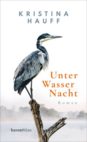 Buchcover Unter Wasser Nacht | Kristina Hauff | EAN 9783446269453 | ISBN 3-446-26945-2 | ISBN 978-3-446-26945-3