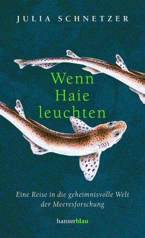 Buchcover Wenn Haie leuchten | Julia Schnetzer | EAN 9783446270251 | ISBN 3-446-27025-6 | ISBN 978-3-446-27025-1