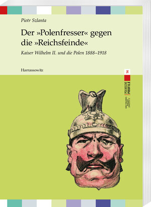 Buchcover Der »Polenfresser« gegen die »Reichsfeinde« | Piotr Szlanta | EAN 9783447119153 | ISBN 3-447-11915-2 | ISBN 978-3-447-11915-3