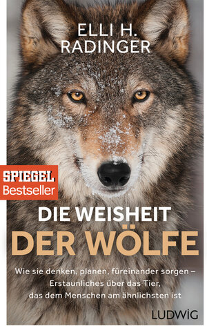 Buchcover Die Weisheit der Wölfe | Elli H. Radinger | EAN 9783453280939 | ISBN 3-453-28093-8 | ISBN 978-3-453-28093-9