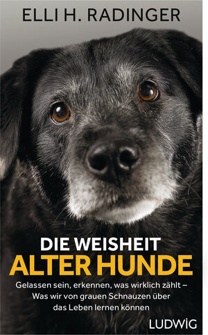 Buchcover Die Weisheit alter Hunde | Elli H. Radinger | EAN 9783453281080 | ISBN 3-453-28108-X | ISBN 978-3-453-28108-0