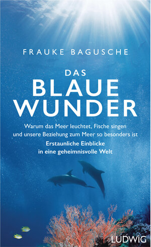 Buchcover Das blaue Wunder | Frauke Bagusche | EAN 9783453281110 | ISBN 3-453-28111-X | ISBN 978-3-453-28111-0