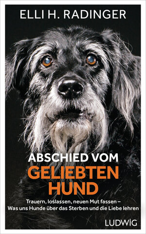 Buchcover Abschied vom geliebten Hund | Elli H. Radinger | EAN 9783453281486 | ISBN 3-453-28148-9 | ISBN 978-3-453-28148-6