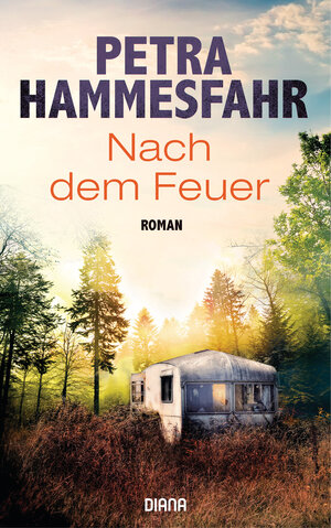 Buchcover Nach dem Feuer | Petra Hammesfahr | EAN 9783453292437 | ISBN 3-453-29243-X | ISBN 978-3-453-29243-7