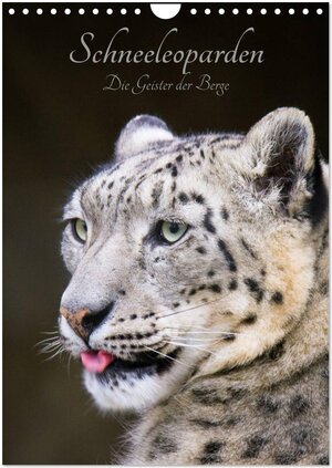 Buchcover Schneeleoparden - Die Geister der Berge (Wandkalender 2025 DIN A4 hoch), CALVENDO Monatskalender | Cloudtail the Snow Leopard | EAN 9783457007655 | ISBN 3-457-00765-9 | ISBN 978-3-457-00765-5