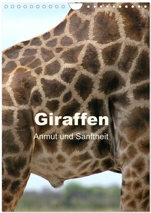 Buchcover Giraffen - Anmut und Sanftheit (Wandkalender 2025 DIN A4 hoch), CALVENDO Monatskalender | Michael Herzog | EAN 9783457038949 | ISBN 3-457-03894-5 | ISBN 978-3-457-03894-9