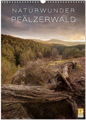 Buchcover NATURWUNDER PFÄLZERWALD (Wandkalender 2025 DIN A3 hoch), CALVENDO Monatskalender | Raik Krotofil | EAN 9783457039168 | ISBN 3-457-03916-X | ISBN 978-3-457-03916-8