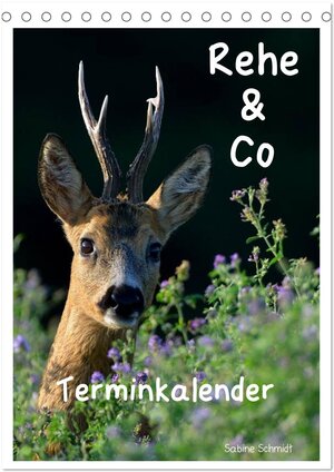 Buchcover Rehe & Co / Planer (Tischkalender 2025 DIN A5 hoch), CALVENDO Monatskalender | Sabine Schmidt | EAN 9783457088364 | ISBN 3-457-08836-5 | ISBN 978-3-457-08836-4