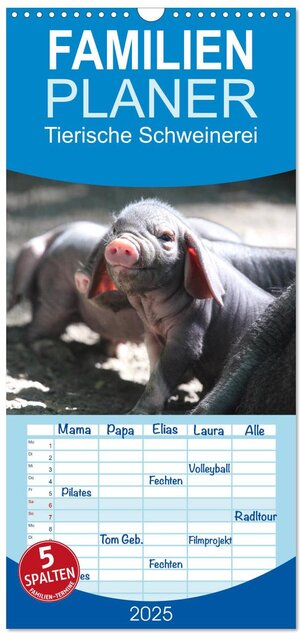 Buchcover Familienplaner 2025 - Tierische Schweinerei mit 5 Spalten (Wandkalender, 21 x 45 cm) CALVENDO | Barbara Mielewczyk | EAN 9783457114117 | ISBN 3-457-11411-0 | ISBN 978-3-457-11411-7