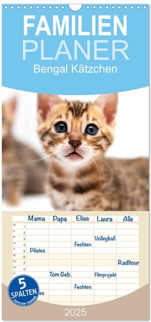 Buchcover Familienplaner 2025 - Bengal Kätzchen mit 5 Spalten (Wandkalender, 21 x 45 cm) CALVENDO | Sylke Enderlein - Bethari Bengals | EAN 9783457117217 | ISBN 3-457-11721-7 | ISBN 978-3-457-11721-7