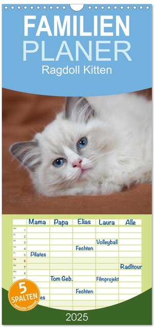 Buchcover Familienplaner 2025 - Ragdoll Kitten mit 5 Spalten (Wandkalender, 21 x 45 cm) CALVENDO | Fotodesign Verena Scholze | EAN 9783457119716 | ISBN 3-457-11971-6 | ISBN 978-3-457-11971-6