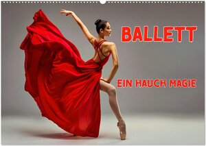 Buchcover BALLETT - ein Hauch Magie (Wandkalender 2025 DIN A2 quer), CALVENDO Monatskalender | Susan Michel | EAN 9783457184103 | ISBN 3-457-18410-0 | ISBN 978-3-457-18410-3
