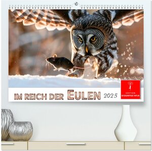 Buchcover Im Reich der Eulen (hochwertiger Premium Wandkalender 2025 DIN A2 quer), Kunstdruck in Hochglanz | Peter Roder | EAN 9783457232781 | ISBN 3-457-23278-4 | ISBN 978-3-457-23278-1