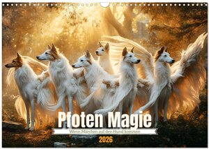 Buchcover Pfoten Magie (Wandkalender 2026 DIN A3 quer), CALVENDO Monatskalender | Daniela Tapper | EAN 9783457291627 | ISBN 3-457-29162-4 | ISBN 978-3-457-29162-7