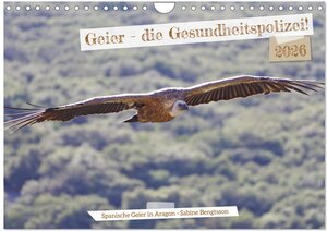 Buchcover Geier - die Gesundheitspolizei! (Wandkalender 2026 DIN A4 quer), CALVENDO Monatskalender | Sabine Bengtsson | EAN 9783457359587 | ISBN 3-457-35958-X | ISBN 978-3-457-35958-7