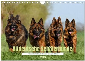 Buchcover Altdeutsche Schäferhunde - Traumhafte Schäferhunde Langstockhaar (Wandkalender 2026 DIN A4 quer), CALVENDO Monatskalender | Jana K. Fotografie | EAN 9783457373286 | ISBN 3-457-37328-0 | ISBN 978-3-457-37328-6