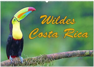 Buchcover Wildes Costa Rica (Wandkalender 2026 DIN A2 quer), CALVENDO Monatskalender | Stefan Schütter | EAN 9783457389683 | ISBN 3-457-38968-3 | ISBN 978-3-457-38968-3