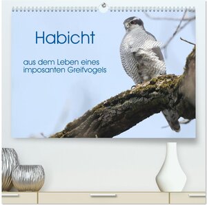 Buchcover Habicht - aus dem Leben eines imposanten Greifvogels (hochwertiger Premium Wandkalender 2026 DIN A2 quer), Kunstdruck in Hochglanz | Herrmann Knüwer | EAN 9783457478370 | ISBN 3-457-47837-6 | ISBN 978-3-457-47837-0