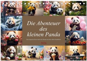 Buchcover Die Abenteuer des kleinen Panda (Tischkalender 2026 DIN A5 quer), CALVENDO Monatskalender | Dirk Meutzner | EAN 9783457515457 | ISBN 3-457-51545-X | ISBN 978-3-457-51545-7