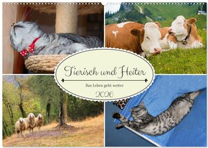 Buchcover Tierisch und Heiter - Das Leben geht weiter 2026 (Wandkalender 2026 DIN A2 quer), CALVENDO Monatskalender | SusaZoom SusaZoom | EAN 9783457536193 | ISBN 3-457-53619-8 | ISBN 978-3-457-53619-3