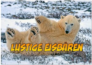 Buchcover Lustige Eisbären (Wandkalender 2026 DIN A3 quer), CALVENDO Monatskalender | Joern Stegen | EAN 9783457715147 | ISBN 3-457-71514-9 | ISBN 978-3-457-71514-7