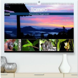 Buchcover Borneo - Tierparadies Regenwald (hochwertiger Premium Wandkalender 2026 DIN A2 quer), Kunstdruck in Hochglanz | Michael Herzog | EAN 9783457737606 | ISBN 3-457-73760-6 | ISBN 978-3-457-73760-6