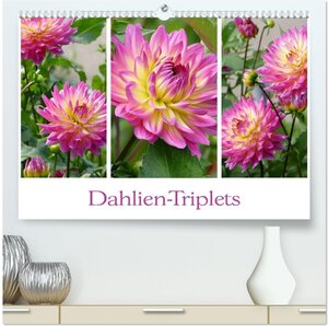 Buchcover Dahlien-Triplets (hochwertiger Premium Wandkalender 2026 DIN A2 quer), Kunstdruck in Hochglanz | Christine B-B Müller | EAN 9783457742983 | ISBN 3-457-74298-7 | ISBN 978-3-457-74298-3