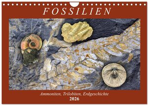 Buchcover Fossilien - Ammoniten, Trilobiten, Erdgeschichte (Wandkalender 2026 DIN A4 quer), CALVENDO Monatskalender | Anja Frost | EAN 9783457814017 | ISBN 3-457-81401-5 | ISBN 978-3-457-81401-7