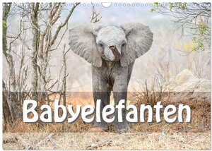 Buchcover Babyelefanten (Wandkalender 2026 DIN A3 quer), CALVENDO Monatskalender | ROBERT STYPPA | EAN 9783457917367 | ISBN 3-457-91736-1 | ISBN 978-3-457-91736-7
