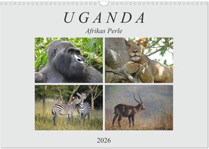 Buchcover Afrikas Perle Uganda (Wandkalender 2026 DIN A3 quer), CALVENDO Monatskalender | Flori0 Flori0 | EAN 9783457918326 | ISBN 3-457-91832-5 | ISBN 978-3-457-91832-6