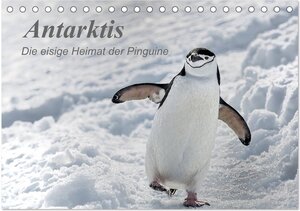 Buchcover Antarktis, die eisige Heimat der Pinguine (Tischkalender 2026 DIN A5 quer), CALVENDO Monatskalender | Michèle Junio | EAN 9783457932100 | ISBN 3-457-93210-7 | ISBN 978-3-457-93210-0