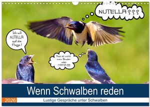 Buchcover Wenn Schwalben reden (Wandkalender 2026 DIN A3 quer), CALVENDO Monatskalender | Uwe P. Frischmuth | EAN 9783457936221 | ISBN 3-457-93622-6 | ISBN 978-3-457-93622-1