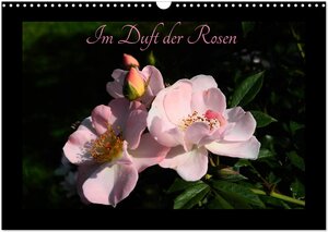 Buchcover Im Duft der Rosen (Wandkalender 2026 DIN A3 quer), CALVENDO Monatskalender | Heribert Saal | EAN 9783457954300 | ISBN 3-457-95430-5 | ISBN 978-3-457-95430-0