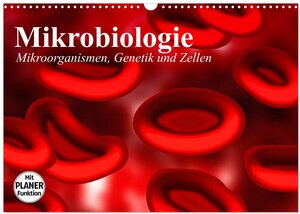 Buchcover Mikrobiologie. Mikroorganismen, Genetik und Zellen (Wandkalender 2026 DIN A3 quer), CALVENDO Monatskalender | Elisabeth Stanzer | EAN 9783457959435 | ISBN 3-457-95943-9 | ISBN 978-3-457-95943-5