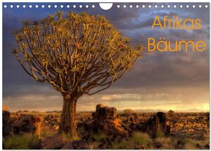 Buchcover Afrikas Bäume (Wandkalender 2026 DIN A4 quer), CALVENDO Monatskalender | Michael Voß | EAN 9783457963265 | ISBN 3-457-96326-6 | ISBN 978-3-457-96326-5