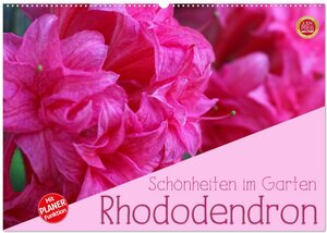 Buchcover Rhododendron Schönheiten im Garten (Wandkalender 2026 DIN A2 quer), CALVENDO Monatskalender | Martina Cross | EAN 9783457965221 | ISBN 3-457-96522-6 | ISBN 978-3-457-96522-1
