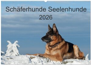 Buchcover Schäferhunde Seelenhunde (Wandkalender 2026 DIN A2 quer), CALVENDO Monatskalender | Petra Schiller | EAN 9783457968154 | ISBN 3-457-96815-2 | ISBN 978-3-457-96815-4