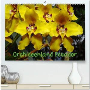 Buchcover Orchideenland Ecuador (hochwertiger Premium Wandkalender 2026 DIN A2 quer), Kunstdruck in Hochglanz | Klaus Kettler | EAN 9783457974803 | ISBN 3-457-97480-2 | ISBN 978-3-457-97480-3