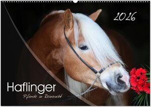 Buchcover Haflinger-Pferde in Reinzucht (Wandkalender 2026 DIN A2 quer), CALVENDO Monatskalender | Natural-Golden.de Natural-Golden.de | EAN 9783457975633 | ISBN 3-457-97563-9 | ISBN 978-3-457-97563-3