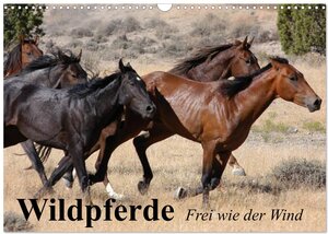 Buchcover Wildpferde. Frei wie der Wind (Wandkalender 2026 DIN A3 quer), CALVENDO Monatskalender | Elisabeth Stanzer | EAN 9783457984345 | ISBN 3-457-98434-4 | ISBN 978-3-457-98434-5