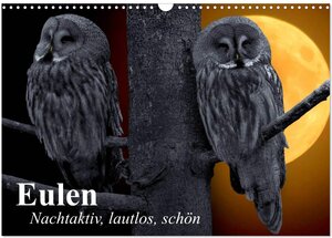Buchcover Eulen. Nachtaktiv, lautlos, schön (Wandkalender 2026 DIN A3 quer), CALVENDO Monatskalender | Elisabeth Stanzer | EAN 9783457987209 | ISBN 3-457-98720-3 | ISBN 978-3-457-98720-9