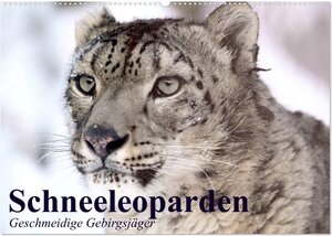 Buchcover Schneeleoparden. Geschmeidige Gebirgsjäger (Wandkalender 2026 DIN A2 quer), CALVENDO Monatskalender | Elisabeth Stanzer | EAN 9783457988183 | ISBN 3-457-98818-8 | ISBN 978-3-457-98818-3