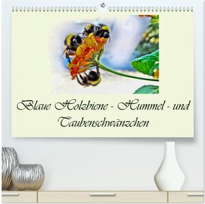 Buchcover Blaue Holzbiene – Hummel – und Taubenschwänzchen. (hochwertiger Premium Wandkalender 2026 DIN A2 quer), Kunstdruck in Hochglanz | Dusanka Djeric | EAN 9783457988992 | ISBN 3-457-98899-4 | ISBN 978-3-457-98899-2
