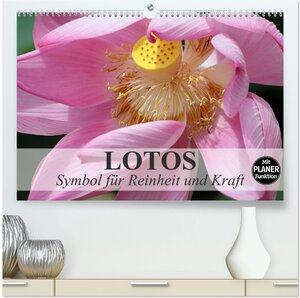 Buchcover Lotos. Symbol für Reinheit und Kraft (hochwertiger Premium Wandkalender 2026 DIN A2 quer), Kunstdruck in Hochglanz | Elisabeth Stanzer | EAN 9783457989463 | ISBN 3-457-98946-X | ISBN 978-3-457-98946-3