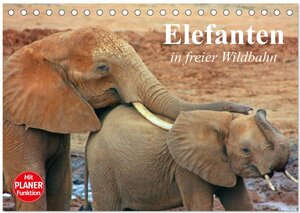 Buchcover Elefanten in freier Wildbahn (Tischkalender 2026 DIN A5 quer), CALVENDO Monatskalender | Elisabeth Stanzer | EAN 9783457991213 | ISBN 3-457-99121-9 | ISBN 978-3-457-99121-3