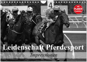 Buchcover Leidenschaft Pferdesport - Impressionen (Wandkalender 2026 DIN A4 quer), CALVENDO Monatskalender | Elisabeth Stanzer | EAN 9783457991435 | ISBN 3-457-99143-X | ISBN 978-3-457-99143-5