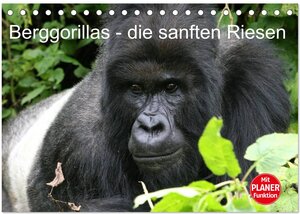 Buchcover Berggorillas - die sanften Riesen (Tischkalender 2026 DIN A5 quer), CALVENDO Monatskalender | Michael Herzog | EAN 9783457991893 | ISBN 3-457-99189-8 | ISBN 978-3-457-99189-3